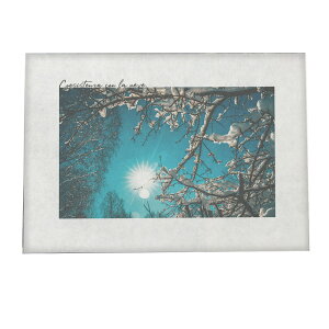 A[gvg |X^[ CeA  tHg O[ A R i`   a0 a1 a2 a3 a4 b0 b1 b2 b3 b4  傫  yfg-poster-756z