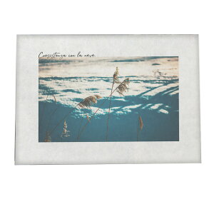 A[gvg |X^[ CeA  tHg O[ A R i`   a0 a1 a2 a3 a4 b0 b1 b2 b3 b4  傫  yfg-poster-763z