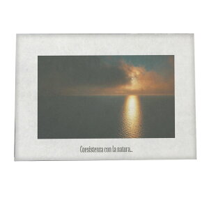 A[gvg |X^[ CeA  tHg C }   u[ ₩  a0 a1 a2 a3 a4 b0 b1 b2 b3 b4  傫  yfg-poster-770z