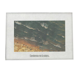 A[gvg |X^[ CeA  tHg C }   u[ ₩  a0 a1 a2 a3 a4 b0 b1 b2 b3 b4  傫  yfg-poster-772z