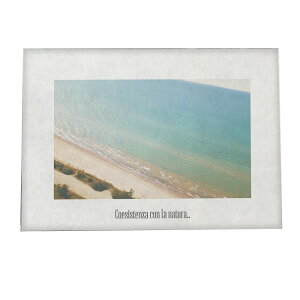 A[gvg |X^[ CeA  tHg C }   u[ ₩  a0 a1 a2 a3 a4 b0 b1 b2 b3 b4  傫  yfg-poster-773z