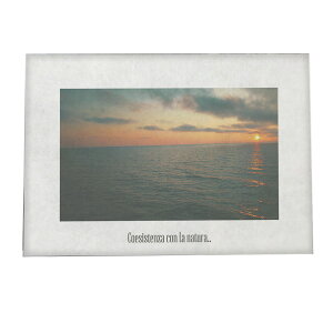 A[gvg |X^[ CeA  tHg C }   u[ ₩  a0 a1 a2 a3 a4 b0 b1 b2 b3 b4  傫  yfg-poster-774z