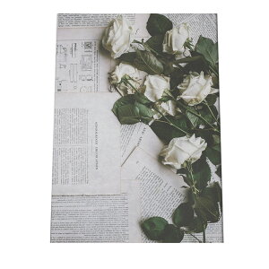 白 バラ 薔薇 アートプリント ポスター インテリア おしゃれ フォト 植物 花 白い花 緑 グリーン 草 a0 a1 a2 a3 a4 b0 b1 b2 b3 b4 特大 大きい 小さい 縦【fg-poster-792】