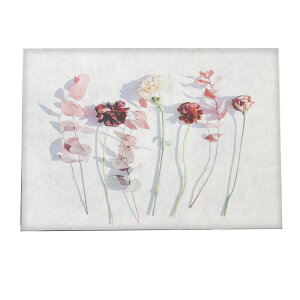 A[gvg |X^[ CeA  A[gt[  k hCt[ G A {^jJ a0 a1 a2 a3 a4 b0 b1 b2 b3 b4  傫  yfg-poster-806z