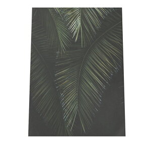 A[gvg |X^[ CeA tHg _ Vv    J  H I i` X WO {^jJ  掿 A JtF a0 a1 a2 a3 a4 b0 b1 b2 b3 b4 