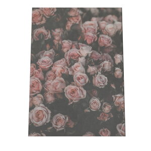 A[gvg |X^[ CeA 킢   o ΂ KN sN zCg  A[g G G g Be[W AJ AeB[N a0 a1 a2 a3 a4 b0 b1 b2 b3 b4 