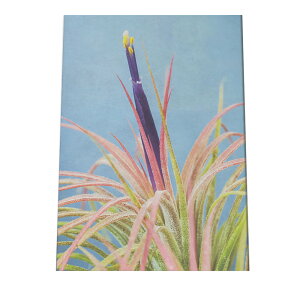 A[gvg |X^[ CeA  A ϗt O[ {^jJ  A[oWO   GAvc `WA a0 a1 a2 a3 a4 b0 b1 b2 b3 b4  傫  cyfg-poster-9