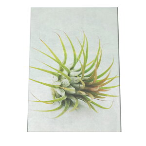 A[gvg |X^[ CeA  A ϗt O[ {^jJ  A[oWO   GAvc CIi^ a0 a1 a2 a3 a4 b0 b1 b2 b3 b4  傫  cyfg-poster-9