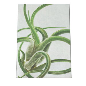 A[gvg |X^[ CeA  A ϗt O[ {^jJ  A[oWO   GAvc hD[T a0 a1 a2 a3 a4 b0 b1 b2 b3 b4  傫  cyfg-poster-9