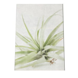 A[gvg |X^[ CeA  A ϗt O[ {^jJ  A[oWO   GAvc CIi^ `WA a0 a1 a2 a3 a4 b0 b1 b2 b3 b4  傫  