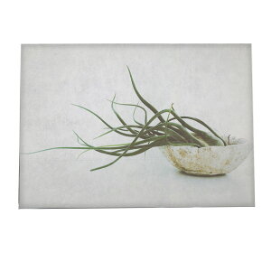 A[gvg |X^[ CeA  A ϗt O[ {^jJ  A[oWO   GAvc hD[T a0 a1 a2 a3 a4 b0 b1 b2 b3 b4  傫  yfg-poster-9