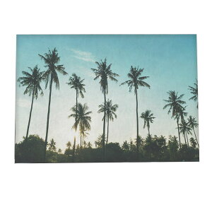 V̖ CO i A[gvg |X^[ CeA tHg zCg V̖  C 킢 i` R k yfg-poster-930z