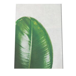 A[gvg |X^[ CeA  A ϗt O[ {^jJ  A[oWO   tBJX S̖ GXeBJ a0 a1 a2 a3 a4 b0 b1 b2 b3 b4  傫  cyf