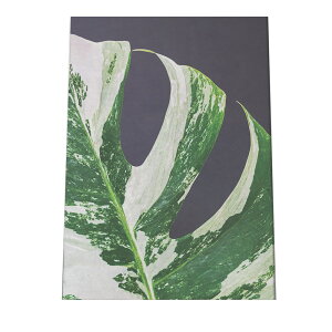 Xe zCg^CK[ A[gvg |X^[ CeA  A ϗt O[ {^jJ  A[oWO Xe cyfg-poster-939z