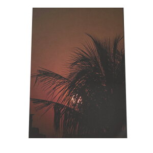 V̖ [ CO i A[gvg |X^[ CeA tHg zCg V̖  C 킢 i` R k cyfg-poster-948z