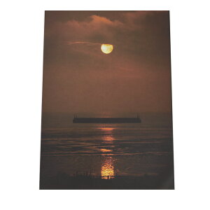 V̖ [ CO i A[gvg |X^[ CeA tHg zCg V̖  C 킢 i` R k cyfg-poster-949z