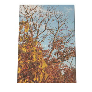 A  H F i` A[gvg |X^[ CeA  A[g _ Vv  cyfg-poster-950z