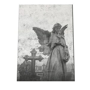 A[gvg |X^[ CeA tHg _ Vv    \ LXg mg[ }A Vg GVJqt   ubN H tFU[ _ X[N  