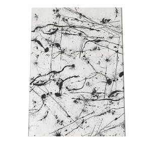 A[gvg |X^[ CeA A[g _ Vv   G yL  n mN   a0 a1 a2 a3 a4 b0 b1 b2 b3 b4  傫  cypbg-poster-1030z