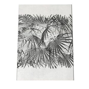 mg[ V̖ A An A[g |X^[ yIׂSTCYpz |X^[ tHg t[ IV A[g _ Vv IV  a0 a1 a2 a3 a4 b0 b1 b2 b3 b4  傫