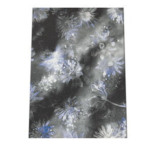 mg[    ͗l A[g 􉽊w  |X^[ yIׂSTCYpz |X^[ tHg t[ IV A[g _ Vv IV  a0 a1 a2 a3 a4 b0 b1 b2 b3 b4  