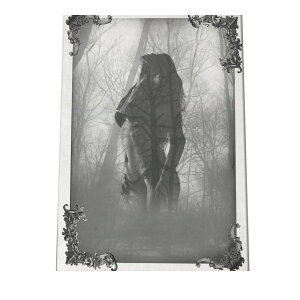 mg[  ͗l A[g 􉽊w  |X^[ yIׂSTCYpz |X^[ tHg t[ IV A[g _ Vv IV  a0 a1 a2 a3 a4 b0 b1 b2 b3 b4  傫 