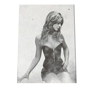 mg[  ͗l A[g  |X^[ yIׂSTCYpz |X^[ tHg t[ IV A[g _ Vv IV  a0 a1 a2 a3 a4 b0 b1 b2 b3 b4  傫  