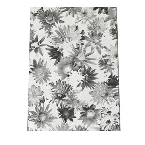  t[   A |X^[ yIׂSTCYpz |X^[ tHg t[ IV A[g _ Vv IV  a0 a1 a2 a3 a4 b0 b1 b2 b3 b4  傫  cy