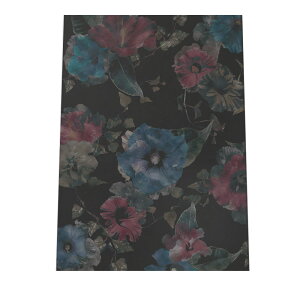 �n�C�r�X�J�X �� �M�� ���m�g�[�� �|�X�^�[ �y�I�ׂ�S�T�C�Y���p���z �|�X�^�[ �t�H�g �t���[�� �I�V���� �A�[�g ���_�� �V���v�� �I�V���� ������ a0 a1 a2 a3 a4 b0 b1 b2 b3 b4 ���� �傫�� ����