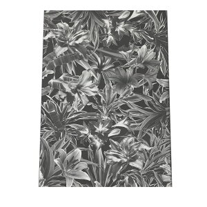   t[ nCrXJX p |X^[ yIׂSTCYpz t@bV |X^[ A[g _ G  a0 a1 a2 a3 a4 b0 b1 b2 b3 b4  傫  tHg cypbg-poster-