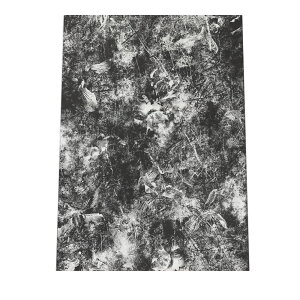 mg[  ͗l A[g  |X^[ yIׂSTCYpz |X^[ tHg t[ IV A[g _ Vv IV  a0 a1 a2 a3 a4 b0 b1 b2 b3 b4  傫  