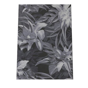  t[ A   A |X^[ yIׂSTCYpz |X^[ tHg t[ IV A[g _ Vv IV  a0 a1 a2 a3 a4 b0 b1 b2 b3 b4  傫 