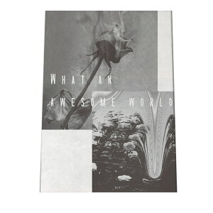 KN  o mg[ |X^[ yIׂSTCYpz |X^[ tHg t[ IV A[g _ Vv IV  a0 a1 a2 a3 a4 b0 b1 b2 b3 b4  傫  cypbg-