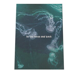 NQ CO C  A[gvg |X^[ CeA  A[g _ Vv  a0 a1 a2 a3 a4 b0 b1 b2 b3 b4  傫  cypbg-poster-5067z