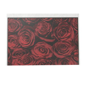 o   |X^[ t[ A[gvg |X^[ CeA  A[g _ Vv  yyoko-poster-7005z