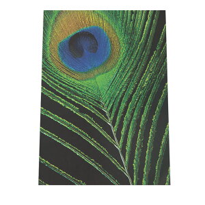 Ⴍ H tFU[ H  A[gvg |X^[ CeA  A[g _ Vv  a0 a1 a2 a3 a4 b0 b1 b2 b3 b4  傫  cyyoko-poster-7012z