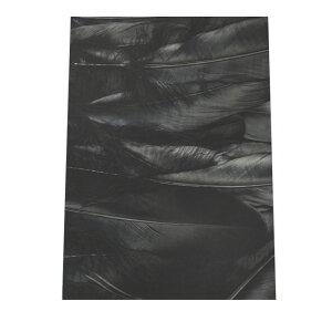  tFU[ H  A[gvg |X^[ CeA  A[g _ Vv  a0 a1 a2 a3 a4 b0 b1 b2 b3 b4  傫  cyyoko-poster-7016z