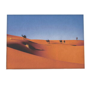 N_   |X^[ yp×TCY×fUCz A[gvg |X^[ CeA  CO u IAVX  l rp  ΂  iyan-poster-218z