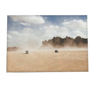   |X^[ yp×TCY×fUCz A[gvg |X^[ CeA  CO u IAVX  l rp  ΂  iyan-poster-235z