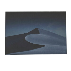   |X^[ yp×TCY×fUCz A[gvg |X^[ CeA  CO u IAVX  l rp  ΂  iyan-poster-245z