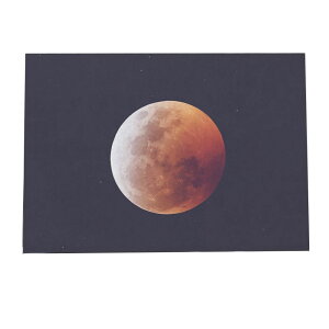  [ |X^[ F jo[X V  f yp×TCY×fUCz |X^[  q vl^E Fyan-poster-276z