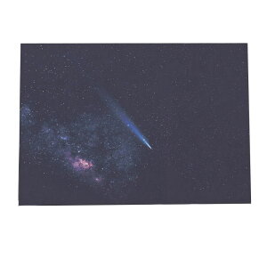 |X^[ F jo[X V  f yp×TCY×fUCz |X^[  q vl^E Fyan-poster-307z