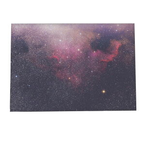 |X^[ F jo[X V  f yp×TCY×fUCz |X^[  q vl^E Fyan-poster-408z