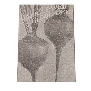 |X^[   mg[ } A ϗt  CeA  A[g _ a0 a1 a2 a3 a4 b0 b1 b2 b3 b4  傫  cybn-poster-14z