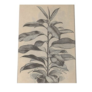 |X^[   mg[ } A ϗt  CeA  A[g _ a0 a1 a2 a3 a4 b0 b1 b2 b3 b4  傫  cybn-poster-15z