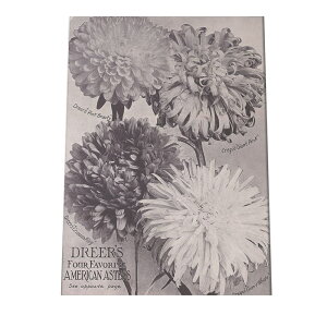 |X^[   mg[ } A ϗt  CeA  A[g _ a0 a1 a2 a3 a4 b0 b1 b2 b3 b4  傫  cybn-poster-16z