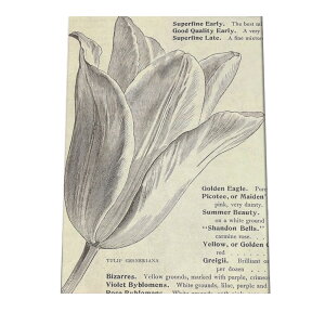 |X^[   mg[ } A ϗt  CeA  A[g _ a0 a1 a2 a3 a4 b0 b1 b2 b3 b4  傫  cybn-poster-17z