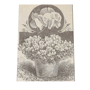 |X^[   mg[ } A ϗt  CeA  A[g _ a0 a1 a2 a3 a4 b0 b1 b2 b3 b4  傫  cybn-poster-18z