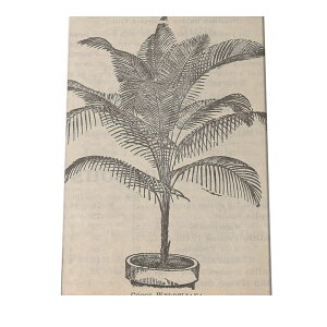 |X^[   mg[ } A ϗt  CeA  A[g _ a0 a1 a2 a3 a4 b0 b1 b2 b3 b4  傫  cybn-poster-19z