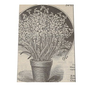  t[  A |X^[  mg[ } A ϗt  CeA  A[g _ a0 a1 a2 a3 a4 b0 b1 b2 b3 b4 cybn-poster-22z